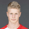 Lukas Ibertsberger image