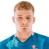 Ivan Kukavica image