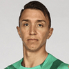 Fernando Muslera image