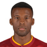 Georginio Wijnaldum