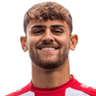Leonardo Vonic