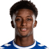 Demarai Gray image