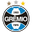 Gremio FB Porto Alegrense RS