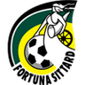 Fortuna logo