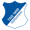 Hoffenheim logo
