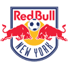 New York logo