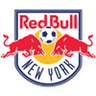 New York logo