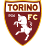 Torino logo