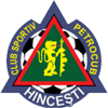 Petrocub Hincesti logo